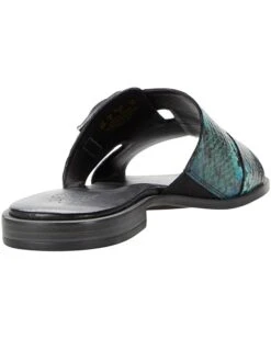 Naturalizer Women Sandals Faryn, Blue Turqoise 12 Naturalizer Women Sandals Faryn, Blue Turqoise -Naturalizer shop 613WkPbRrBL. AC SR736920